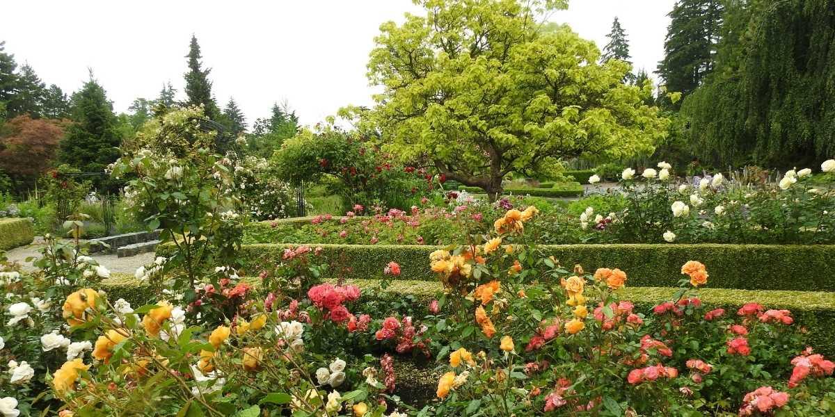 Understanding San Antonio Botanical Garden Hours: A Comprehensive Guide for Visitors