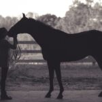 Philanthropist Ann Lesley Smith, Her Purebred Arabian Horse, and the Legacy of Famous Arabian Horses in America