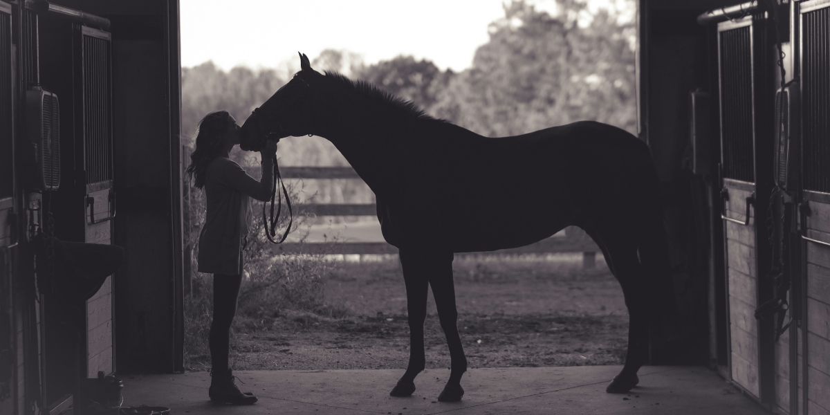 Philanthropist Ann Lesley Smith, Her Purebred Arabian Horse, and the Legacy of Famous Arabian Horses in America