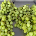 Kid-Sized Apples and Grapes for the Back-to-School Season