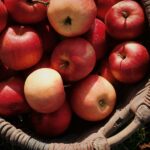 Kid-Sized Apples and Grapes for the Back-to-School Season (2)