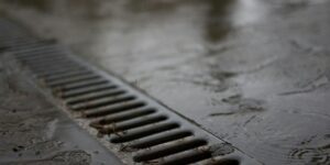 New York City Converts Queens Road Medians Into Green Stormwater Infrastructure With $8.4 Million Investment