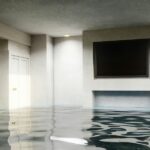 Comprehensive Guide to Basement Water Issues and Solutions
