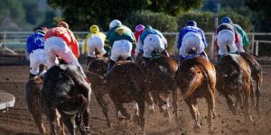 Belmont Park Reopens After $555 Million, Three-Year Reconstruction on Long Island