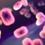 Africa's Monkeypox Emergency: Sounding the Alarm on a Preventable Crisis