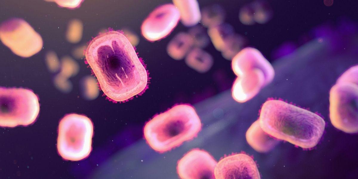 Africa's Monkeypox Emergency: Sounding the Alarm on a Preventable Crisis