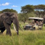 Masai Mara to Tanzania Safari With Zanzibar: The Complete East Africa Safari Planning Guide