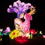 Yu Wang Gives Chinese Lantern Art an American Setting