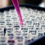 NYU Launches Plastics Research Center Focused on Health Risks