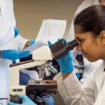 NYU Pancreatic Cancer Research Maps 443,451 Cells