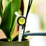 Looking for a Gift for Plant Lovers? Meet Plantiemoji