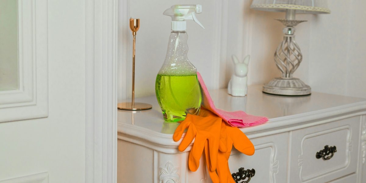 Brooklyn Maids: Transforming Lives, One Clean Home at a Time