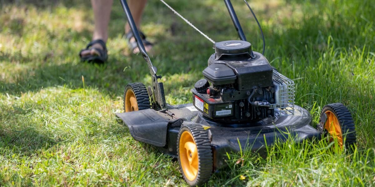 Lawn Mowing Statistics and Household Tips: Keeping New Jersey Lawns Green and Healthy