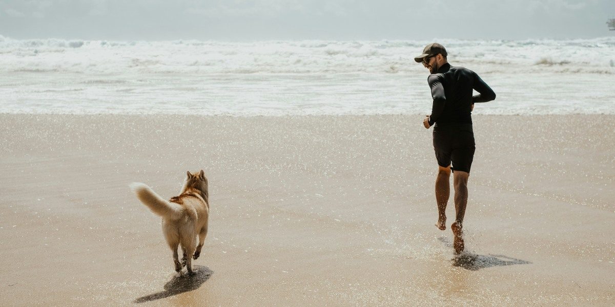 7 Exciting Things About Dog Boarding in Melbourne