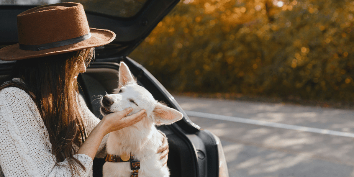 A Pawsome Adventure Ultimate Guide to Traveling with Dogs
