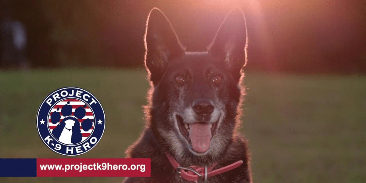 A Voice for the Voiceless Pledges Unwavering Support for Retired Police K-9s and Military Working Dogs