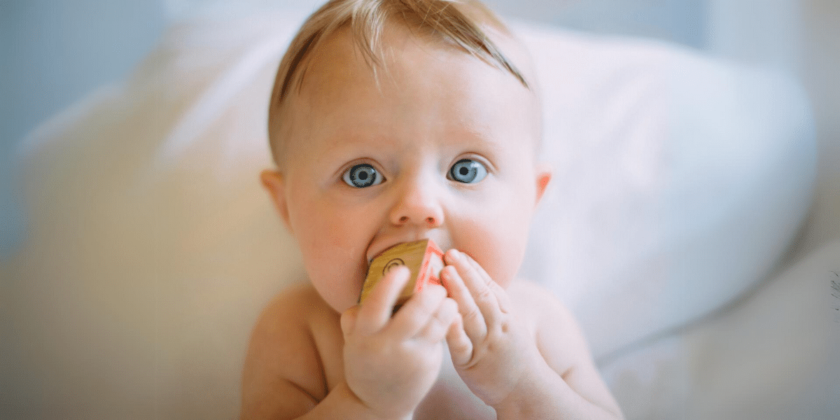 Advantage How HiPP Dutch Upholds Its Commitment to Quality & Safety for Babies (2)
