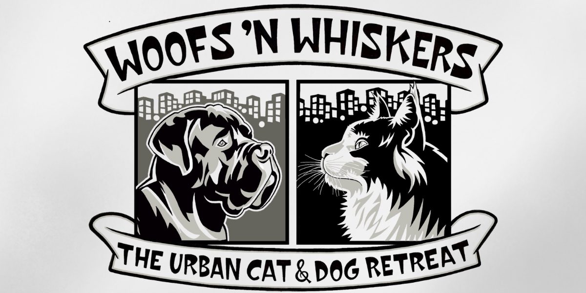 Behind Every Wag at Woofs ’n Whiskers What Makes a Great Pet Care Team — and Why It Matters