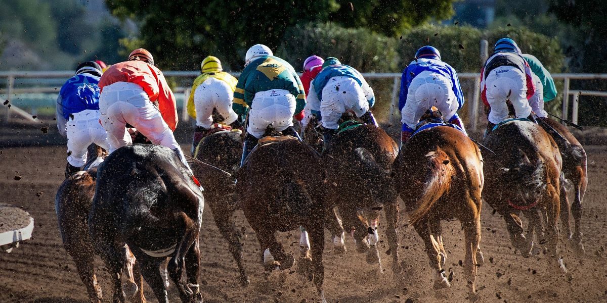Belmont Park Reopens After $555 Million, Three-Year Reconstruction on Long Island