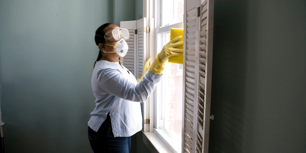 Boost Your Home's Appeal with Toronto Cleaning Experts