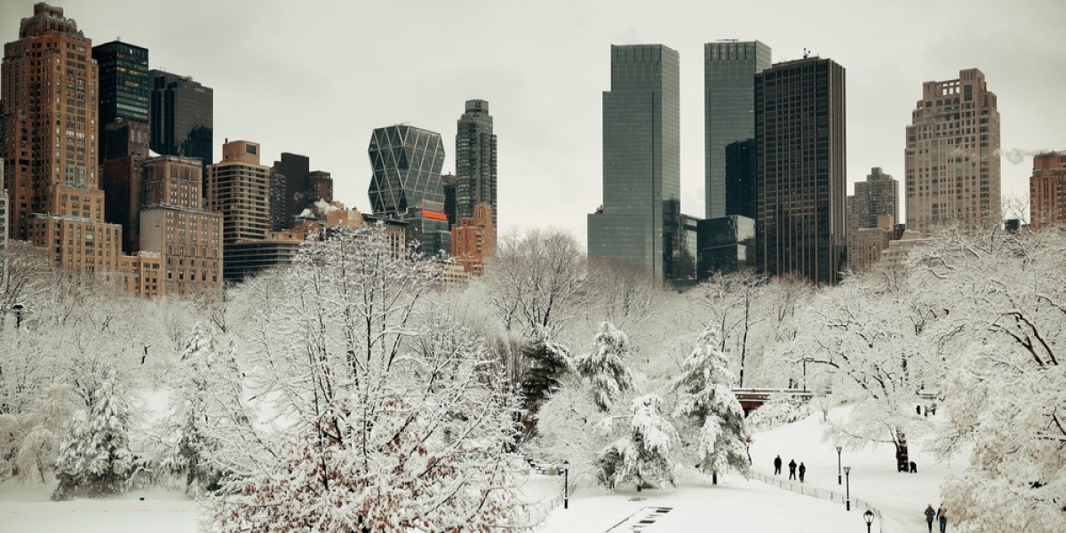 Central Park's Remarkable 653-Day Snow Drought Shatters Records