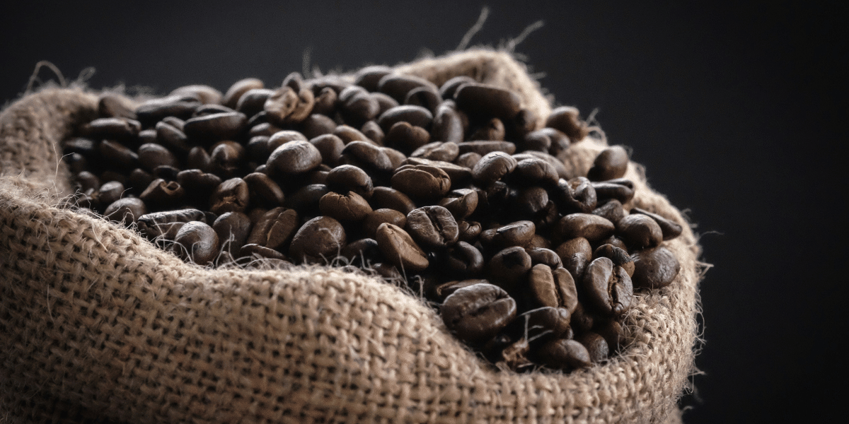 Coffee Bean Gourmet Experience Fresh, High-Quality Coffee
