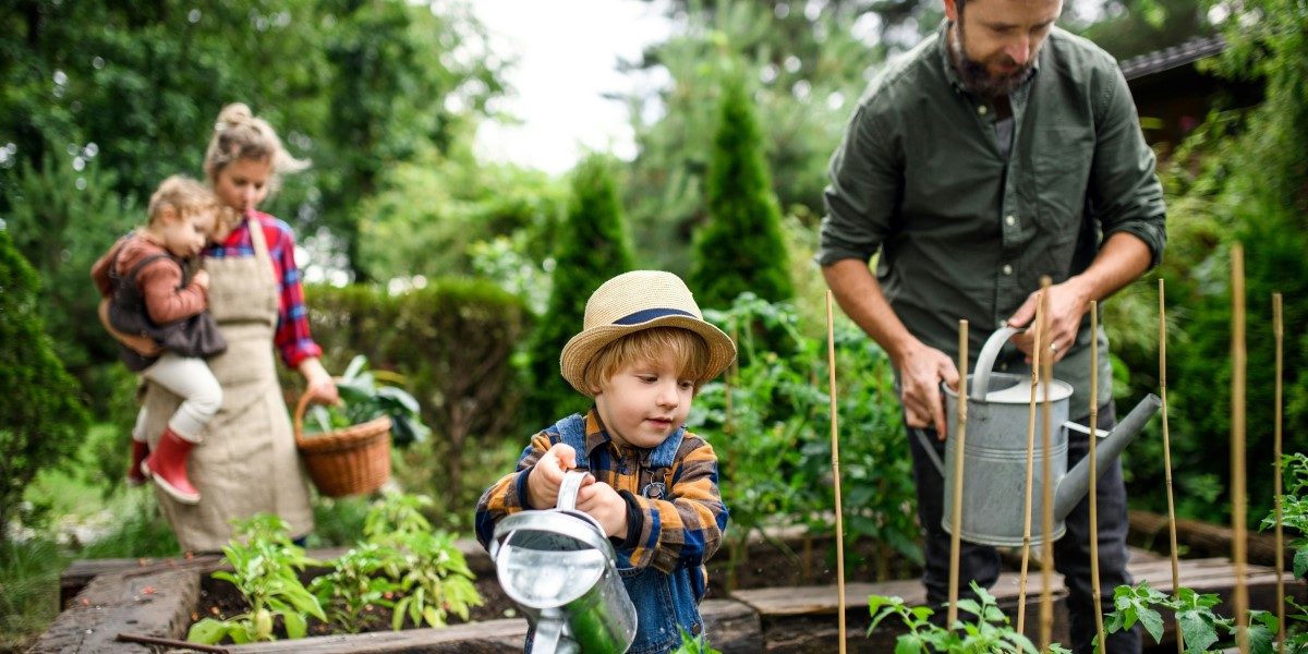 Community Gardens Building Connections Through Gardening