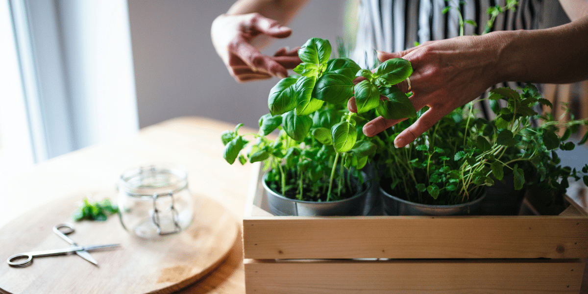 Creative Ways to Use Fresh Herbs for Flavorful Cooking