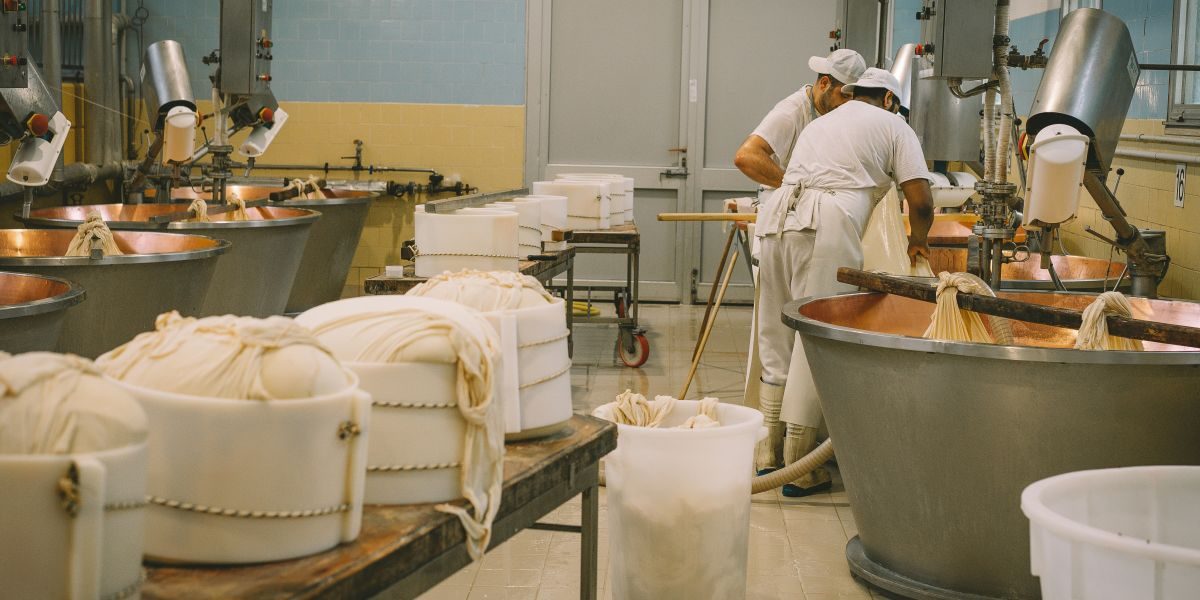David Wilcox Highlights the Rising Urgency to Revamp Domestic Processing Capabilities