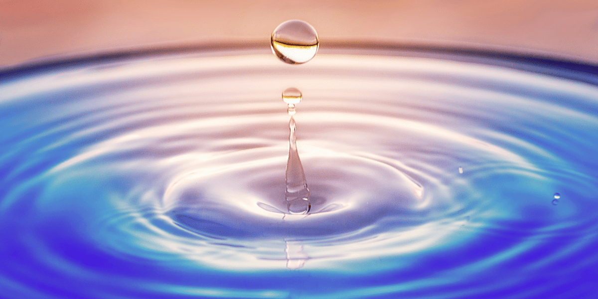 Discover Midwest Tropical's Custom Water Features Discover The Versatility Of Our Products