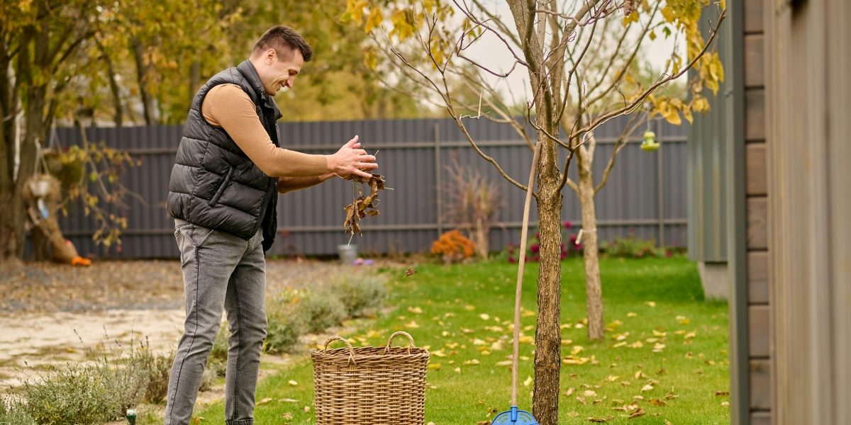 Eco-Friendly Cleaning Tips for a Greener Environment