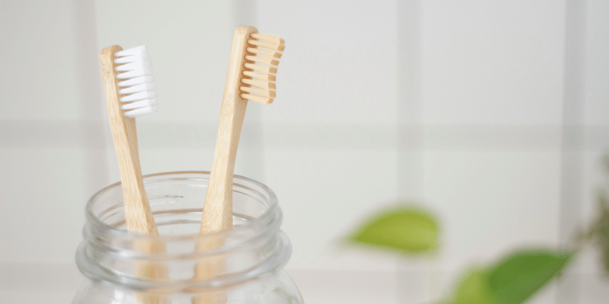 Eco-Friendly Tips for a Sustainable Home and Lifestyle