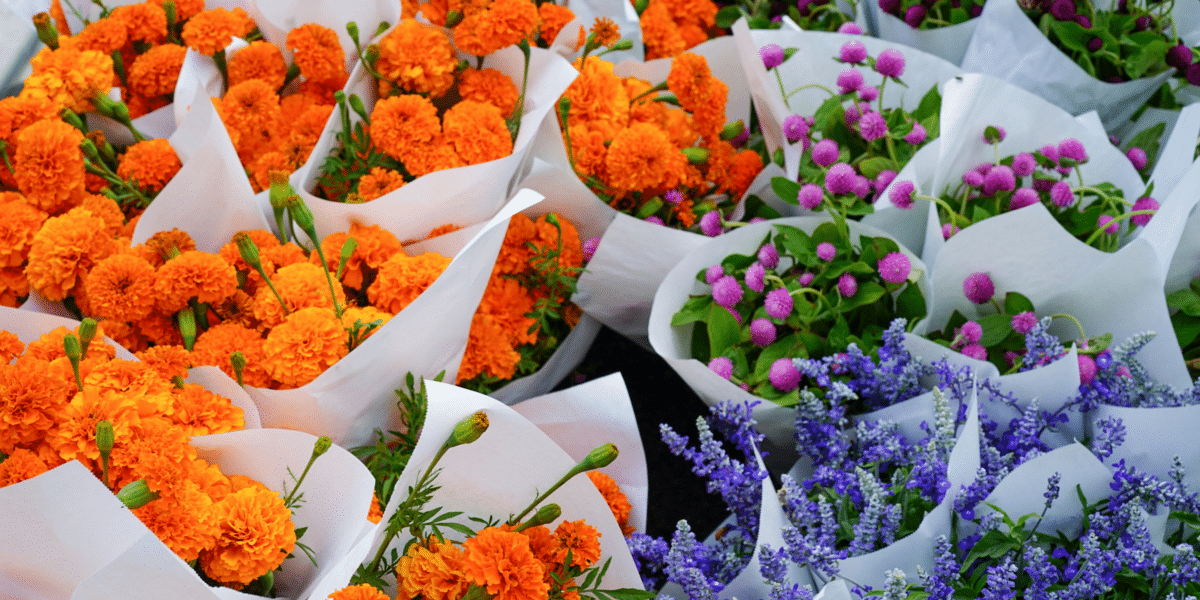 Flowers By Post UK Beauty Delivered to Doors