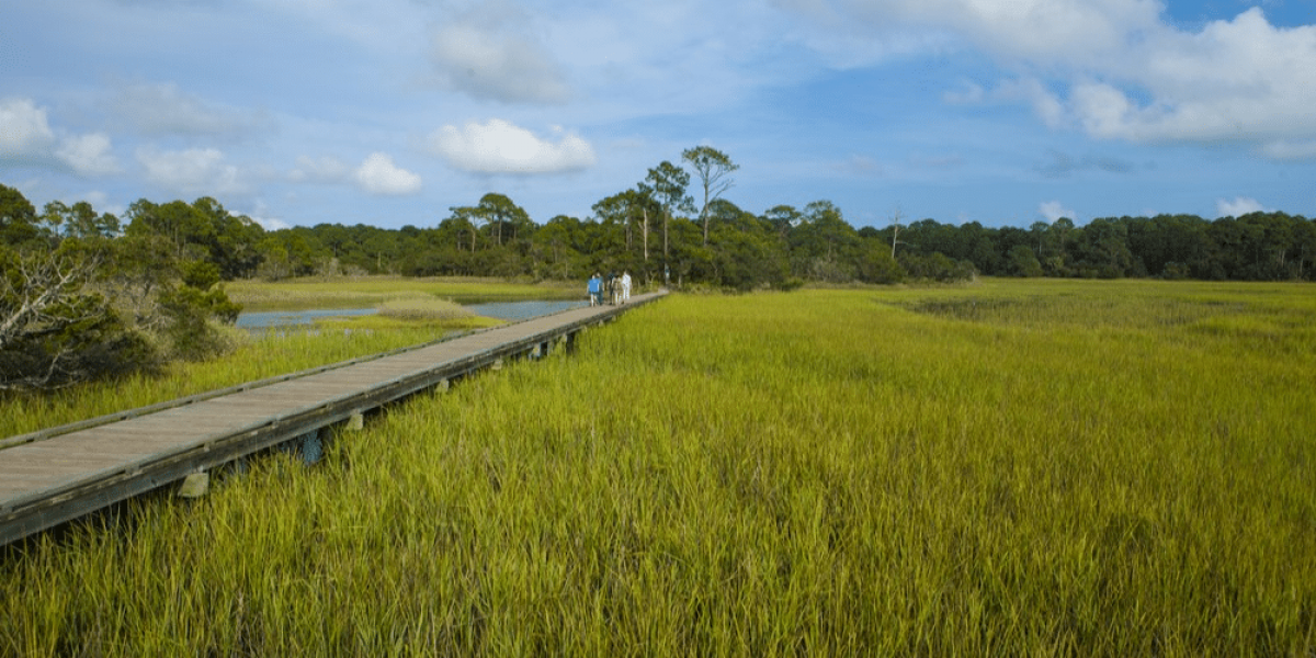 Enhancing Predictive Models for Grassy Ecosystem Health