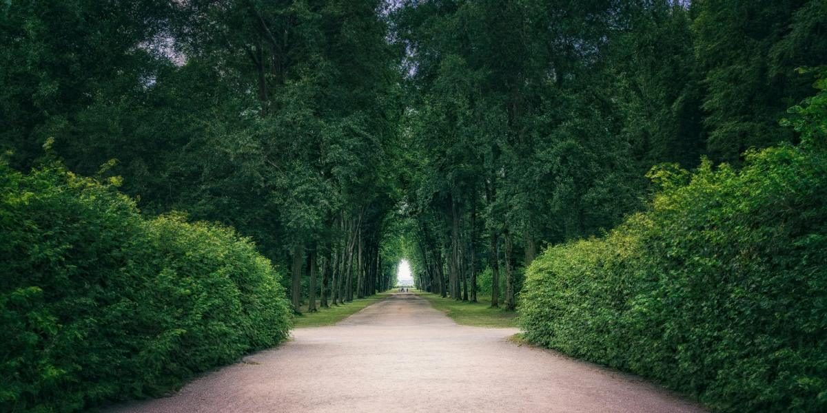 HDB’s Master Planning Framework Supports Long-Term Residential Value Along Tengah Garden Avenue