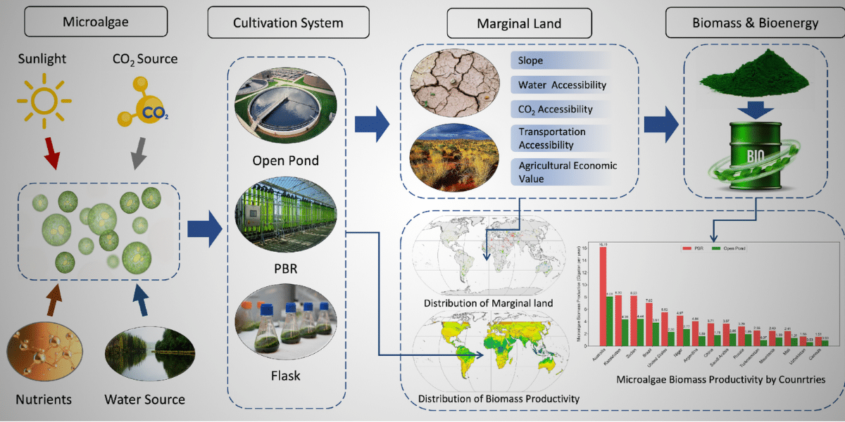 Harvard Researcher Minghao Chen Pioneers Breakthrough in Global Microalgae Bioenergy Study