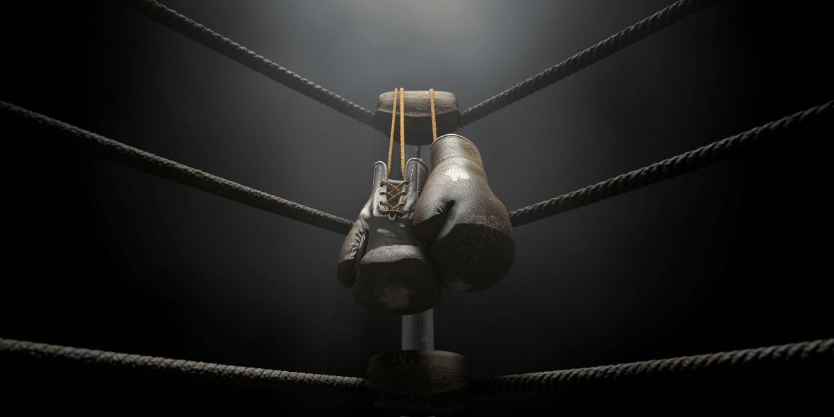 Hayabusa Pro Boxing Shoes