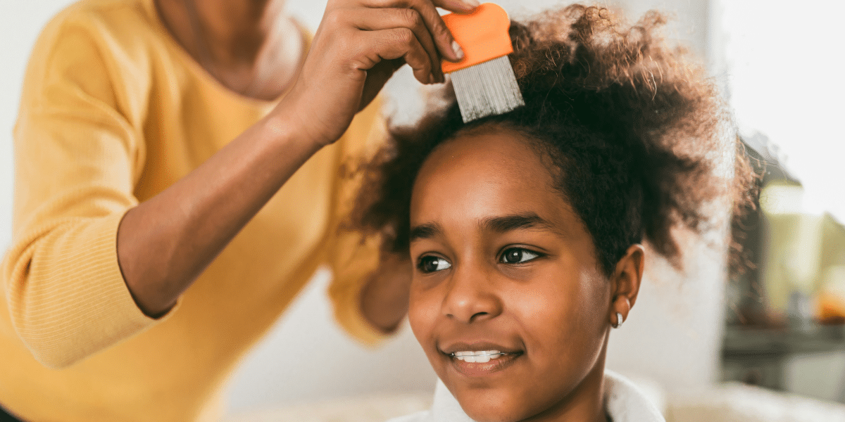 Head Lice Epidemic in NYC Why 2024 is the Worst Year Yet