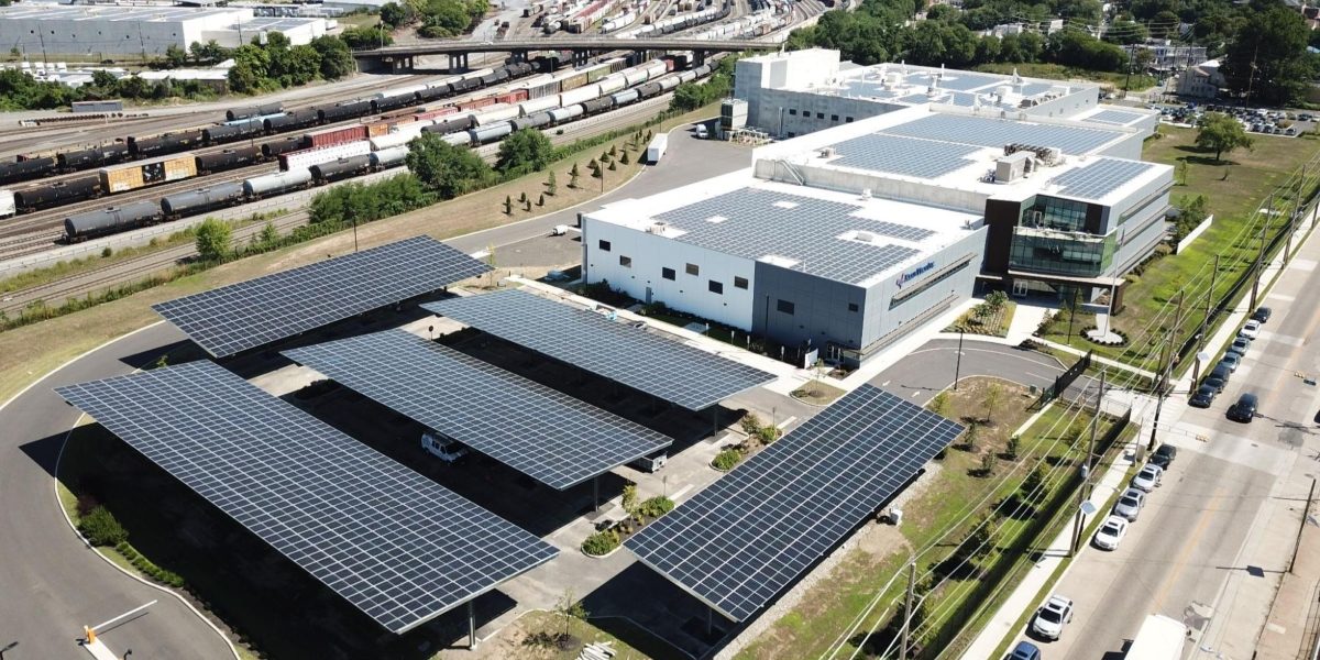 How Plankton Energy Supports Turning Empty Rooftops Into New Income Opportunities