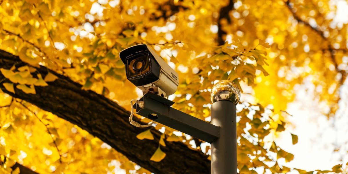 How Universities Are Stepping Up Campus Safety