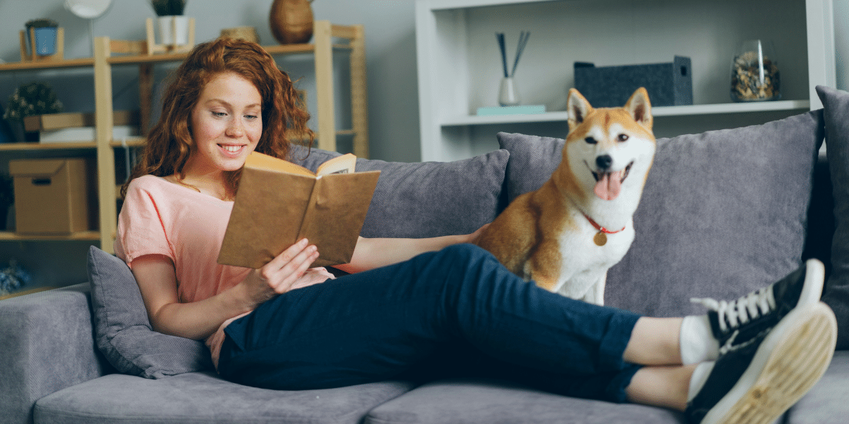 How a Smart Sofa Can Add Value to Your Study Space