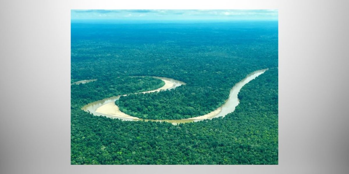 Indigenous-Led Conservation Adam Gebb and the Future of Biodiversity Protection Indigenous-Led Conservation Adam Gebb and the Future of Biodiversity Protection