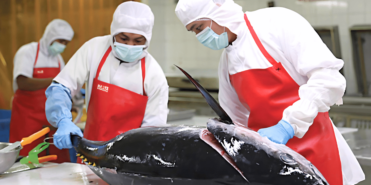 Indonesia Champions Sustainable Tuna Fisheries Management