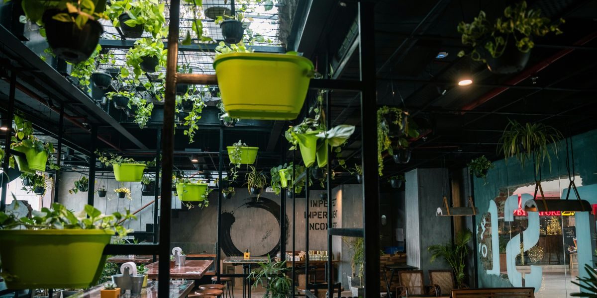Large-Scale Production of Pots and Planters How Companies Like Pots Planters & More Meet the Demands of Upscale Residential and Commercial Projects