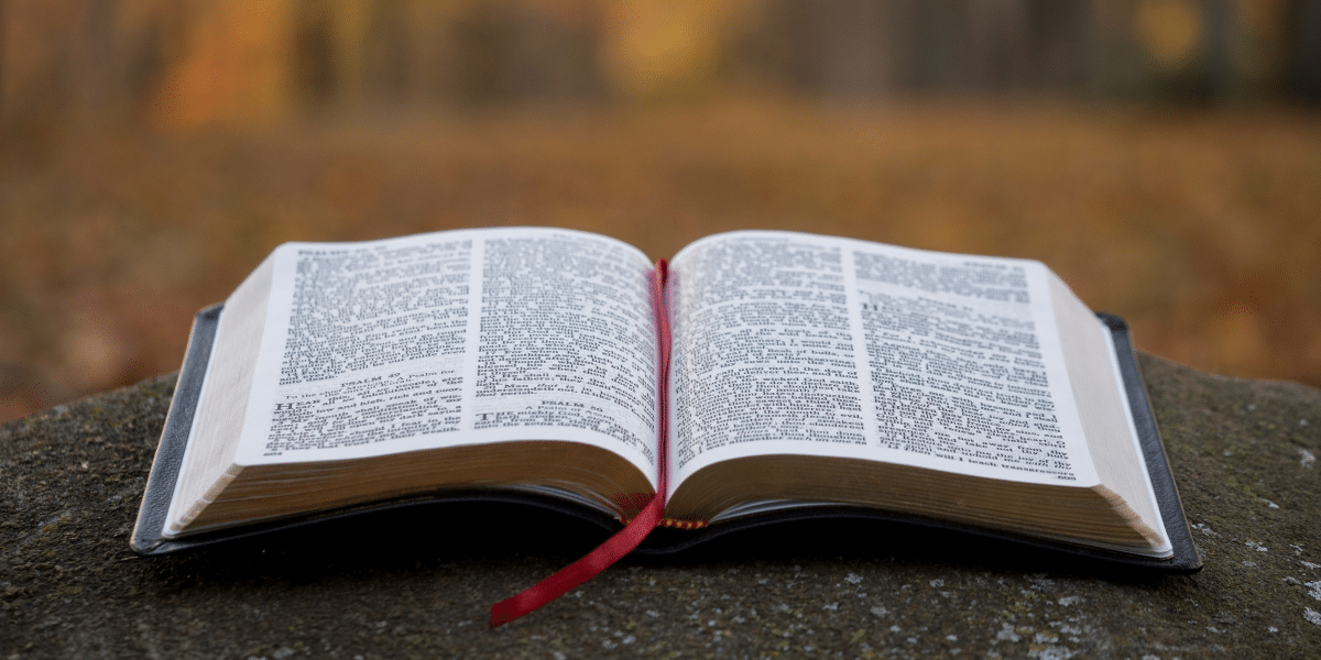 Life Surge A Christian Perspective on Wealth Management_2