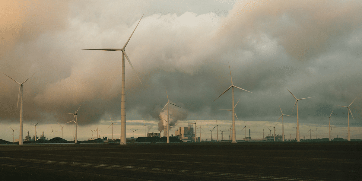 Map-Collective Revolutionizes Environmental Sustainability Through AI-Driven Traceability and Transparency_2