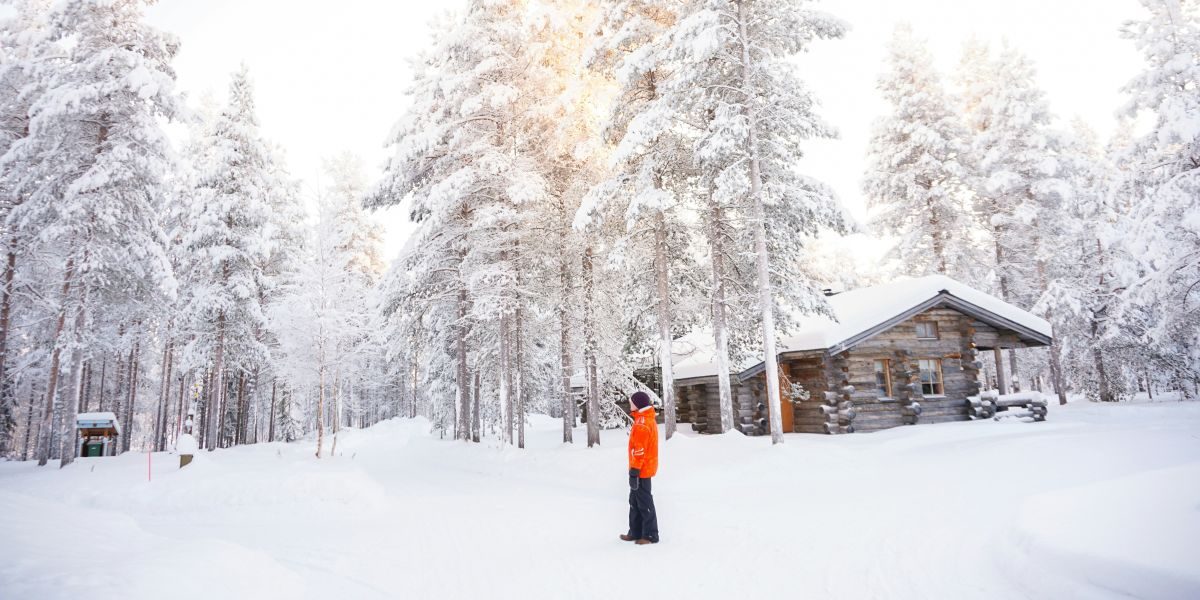 Midnight Sun and Snowy Fells: Seasonal Adventures in the Heart of Lapland