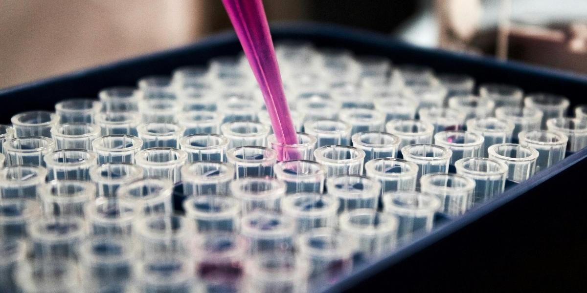 NYU Launches Plastics Research Center Focused on Health Risks
