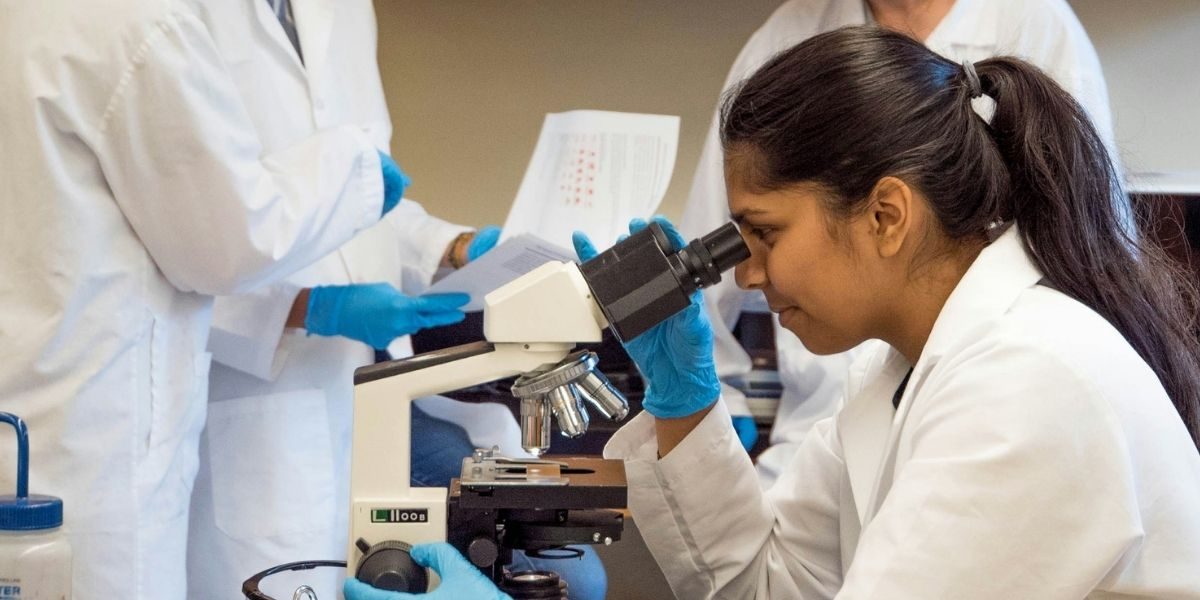 NYU Pancreatic Cancer Research Maps 443,451 Cells