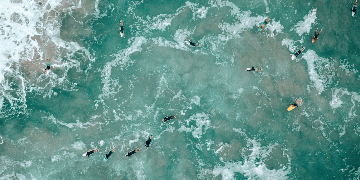 Navigating the Gold Coast Choosing the Right Buyers Agents